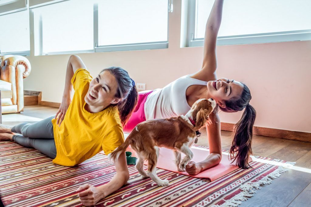 Two women attempt to do planks while a dog licks their face. 