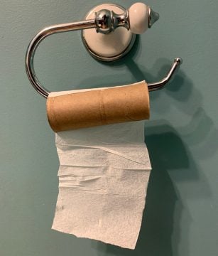 An empty toilet paper roll hangs.
