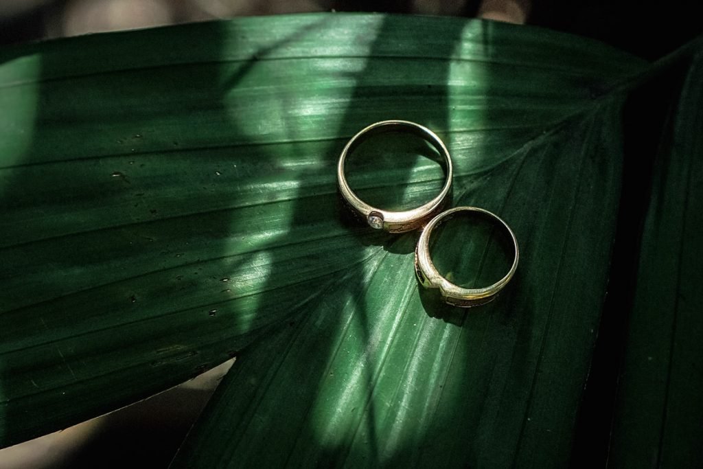 Two wedding bands sit on a green leaf.